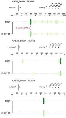 Tolerogenic Effect Elicited by Protein Fraction Derived From Different Formulas for Dietary Treatment of Cow’s Milk Allergy in Human Cells